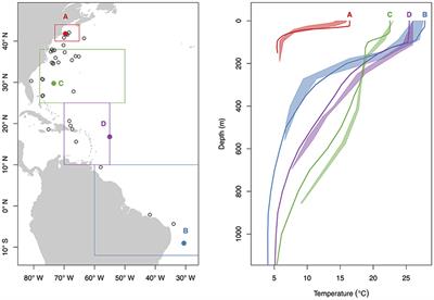 Integrating Archival Tag Data and a High-Resolution Oceanographic Model to Estimate Basking Shark (Cetorhinus maximus) Movements in the Western Atlantic